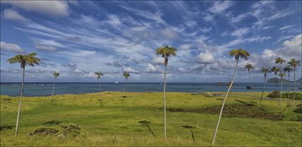 Lord Howe Island - NSW T (PBH4 00 11777)